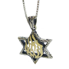 Pendant Kabbalah Star of David & My Fire 9k gold & Silver - The Peace Of God®