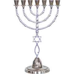 Extra Large Grafted In Menorah