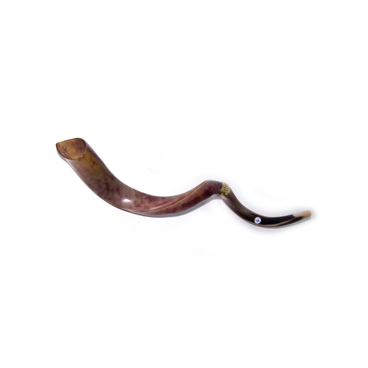 Natural Antelope Kudu Horn Shofar 110-114cm - The Peace Of God®