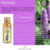 Hyssop "Purification" Anointing Oil - 30 ml 1 fl.oz.