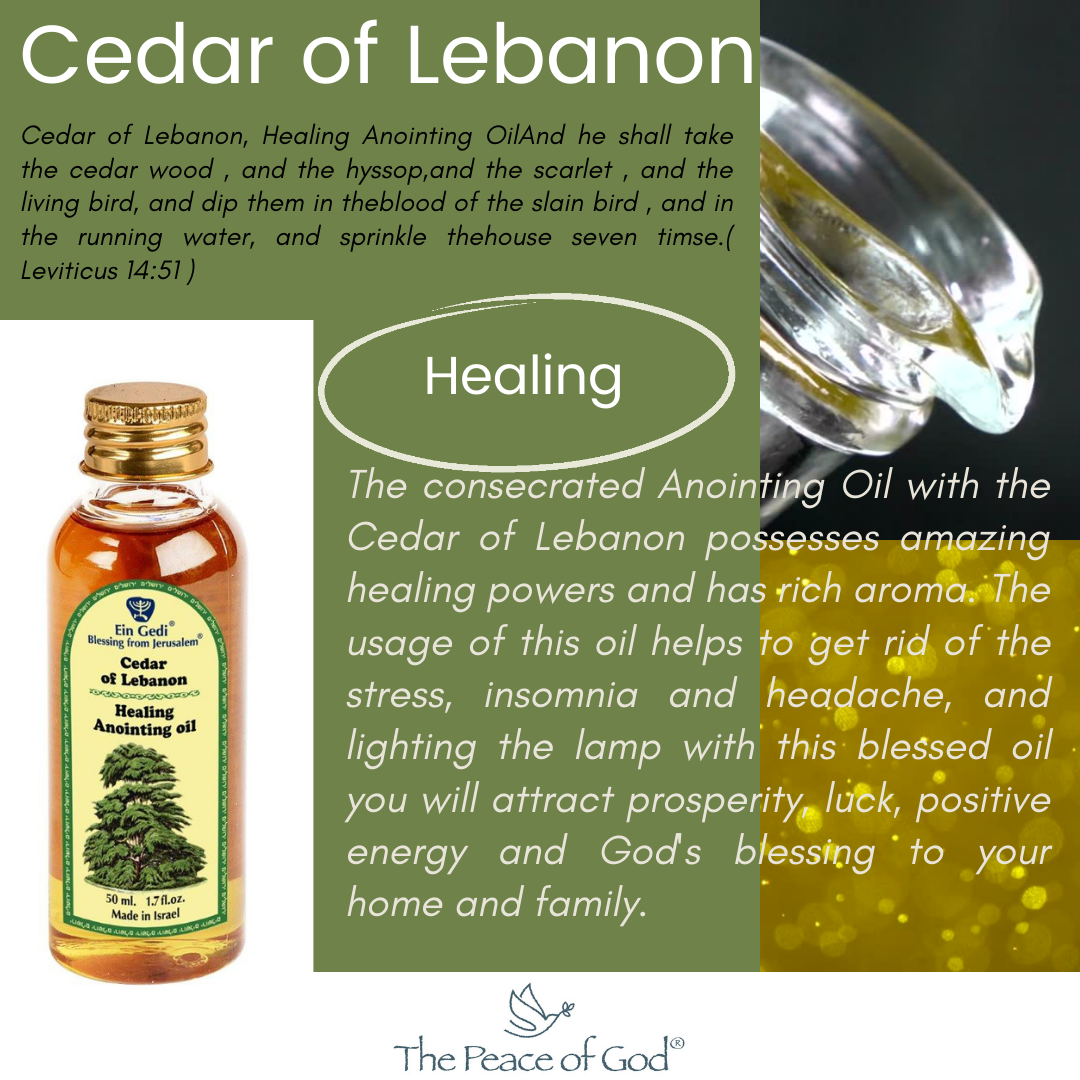 Anointing Oil - Cedar of Lebanon, Healing 50 ml, 1.7 fl.oz - The Peace Of God®