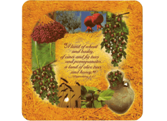 Israel's Species Placemat and Coaster Set - The Peace Of God®