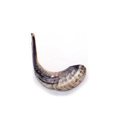 Natural Ram's Horn Shofar 40-44cm - The Peace Of God®