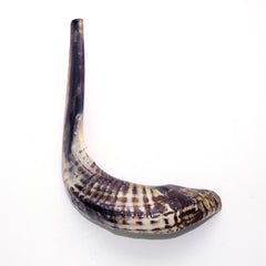 Natural Ram's Horn Shofar 45-49cm - The Peace Of God®