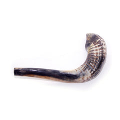 Natural Ram's Horn Shofar 45-49cm - The Peace Of God®
