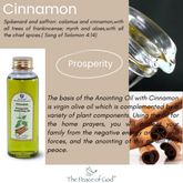 Anointing Oil - Cinnamon Prosperity 100 ml, 3.74 fl.oz. - The Peace Of God®