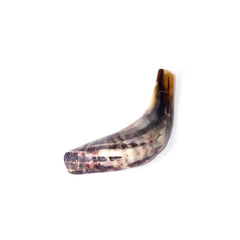 Natural Ram's Horn Shofar 25-29cm - The Peace Of God®