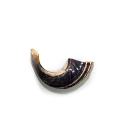Natural Ram's Horn Shofar 15-24cm - The Peace Of God®