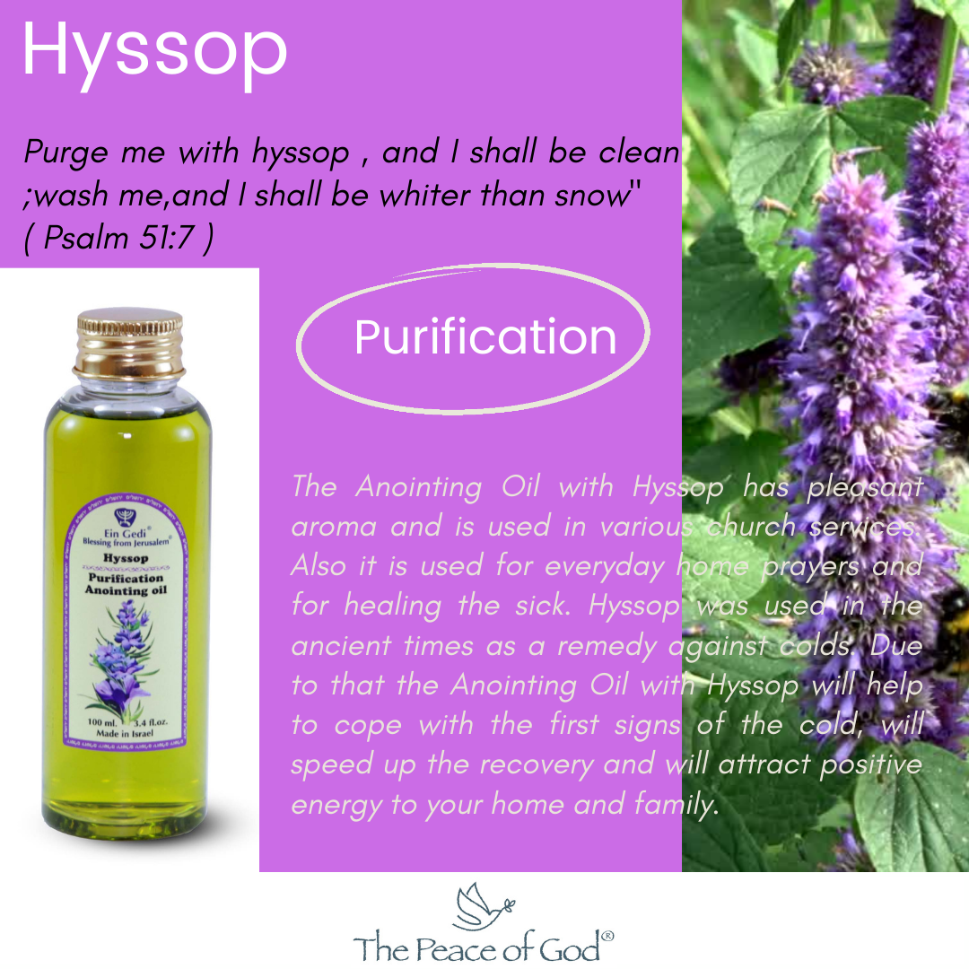 Anointing Oil - Hyssop "Purification" 100 ml 3.74 fl.oz. - The Peace Of God®