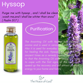 Anointing Oil - Hyssop "Purification" 100 ml 3.74 fl.oz. - The Peace Of God®