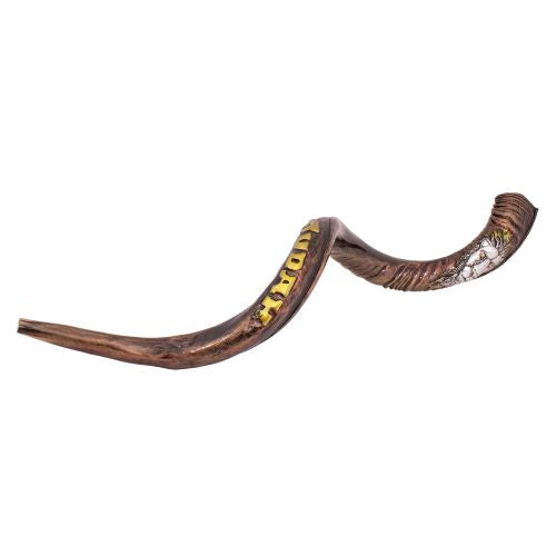 Kosher Shofar - Hand Engraved Shofar"Lion of Judah" 110-115 cm