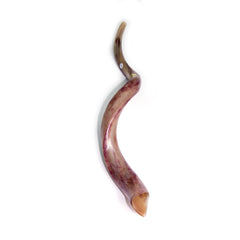 Natural Antelope Kudu Horn Shofar 90-99cm - The Peace Of God®