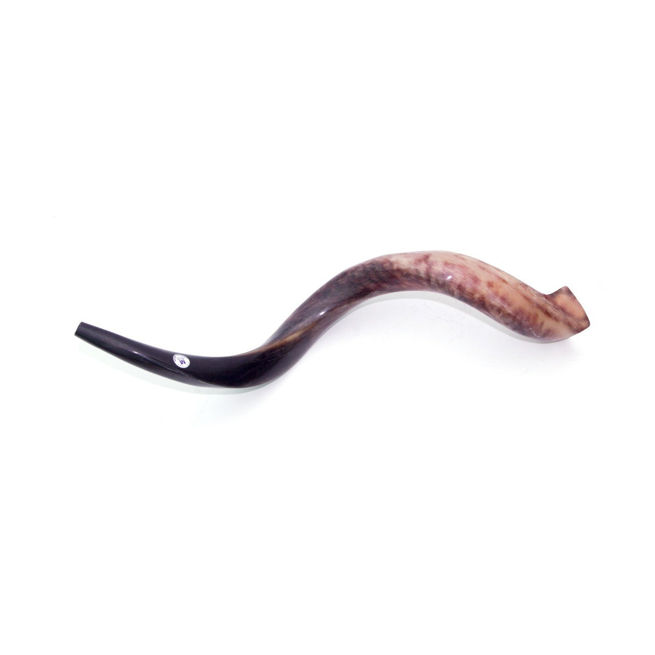 Natural Antelope Kudu Horn Shofar 70-79cm - The Peace Of God®