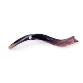 Natural Antelope Kudu Horn Shofar 40-49cm - The Peace Of God®