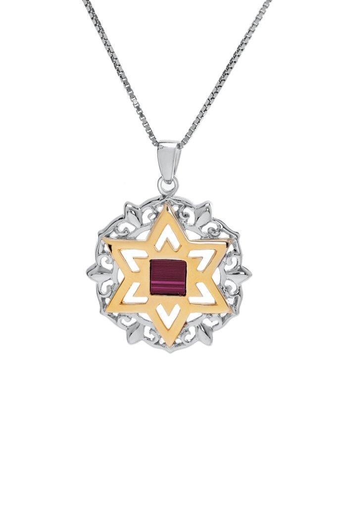 Nano Sim Bible Silver and 9K Gold Pendant - Star of David with Floral Decoration - The Peace Of God®