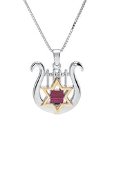 Nano Bible Sim Silver and 9K Gold Pendant - David's Harp and Star of David - The Peace Of God®