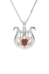 Nano Bible Sim Silver and 9K Gold Pendant - David's Harp and Star of David - The Peace Of God®