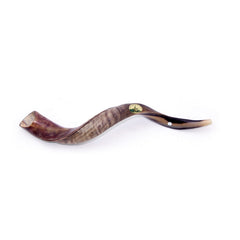 Natural Antelope Kudu Horn Shofar 50-59cm - The Peace Of God®