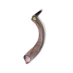 Natural Antelope Kudu Horn Shofar 60-69cm - The Peace Of God®