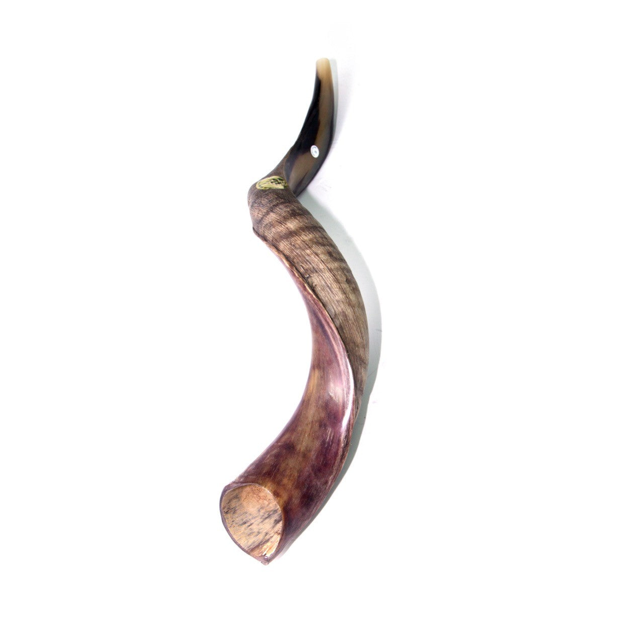 Natural Antelope Kudu Horn Shofar 60-69cm - The Peace Of God®
