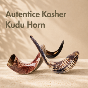 Shofars From Israel