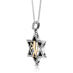 Pendant, 925 Sterling Silver Star of David with 9K Gold "Lion of Judah" - The Peace Of God®