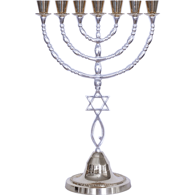 Extra Large Grafted In Menorah