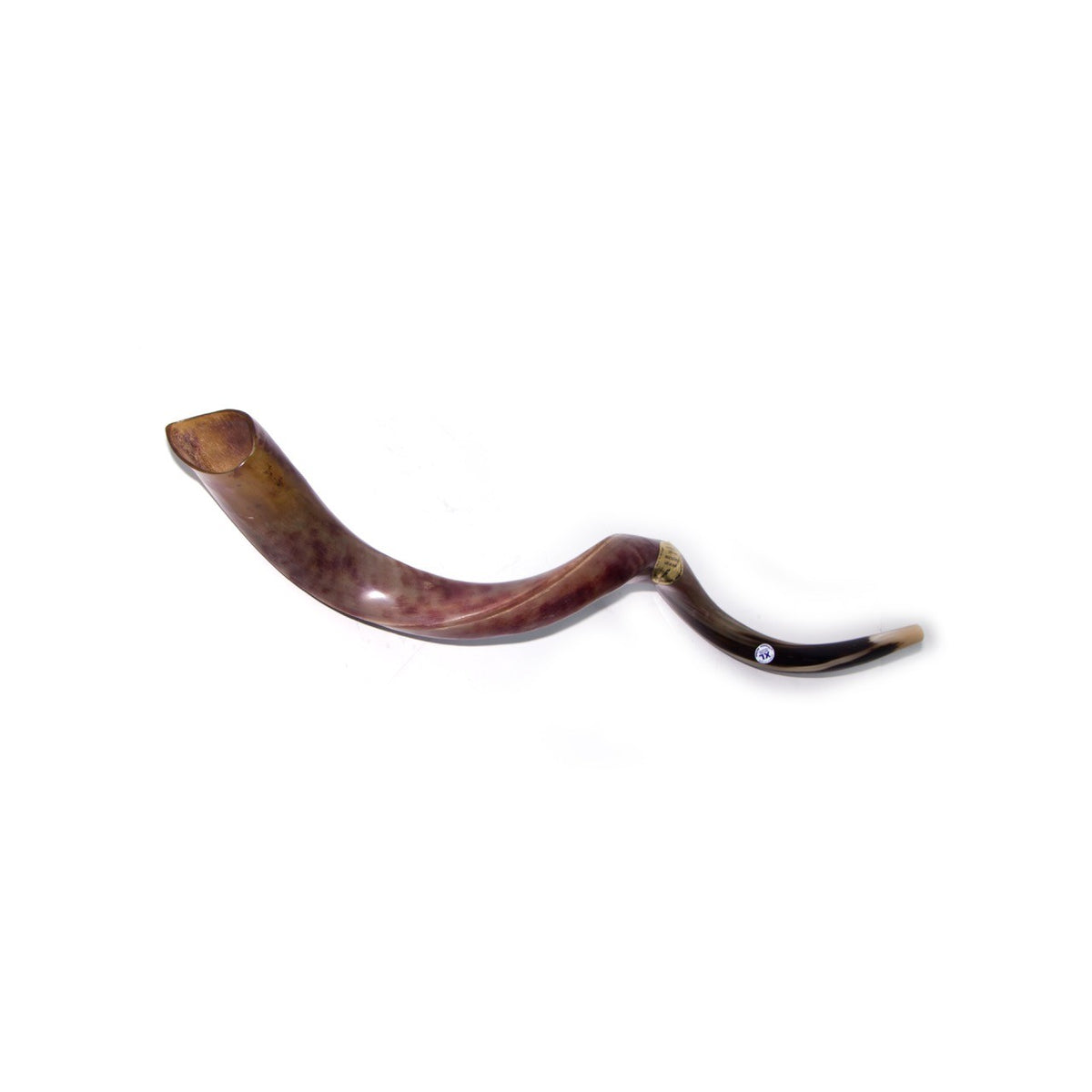 Natural Antelope Kudu Horn Shofar 110-114cm - The Peace Of God®