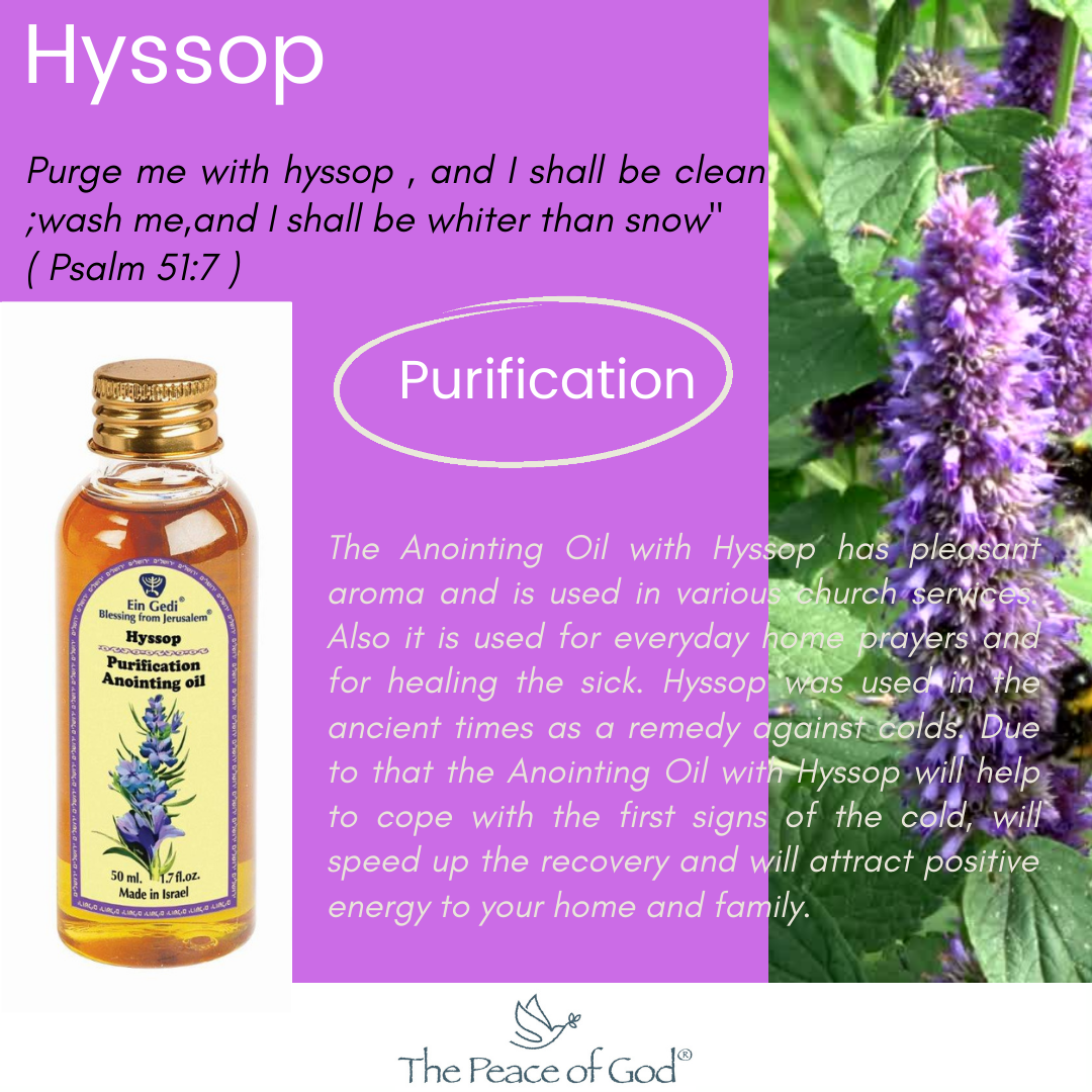 Anointing Oil - Hyssop "Purification" 50 ml 1.7 fl.oz. - The Peace Of God®