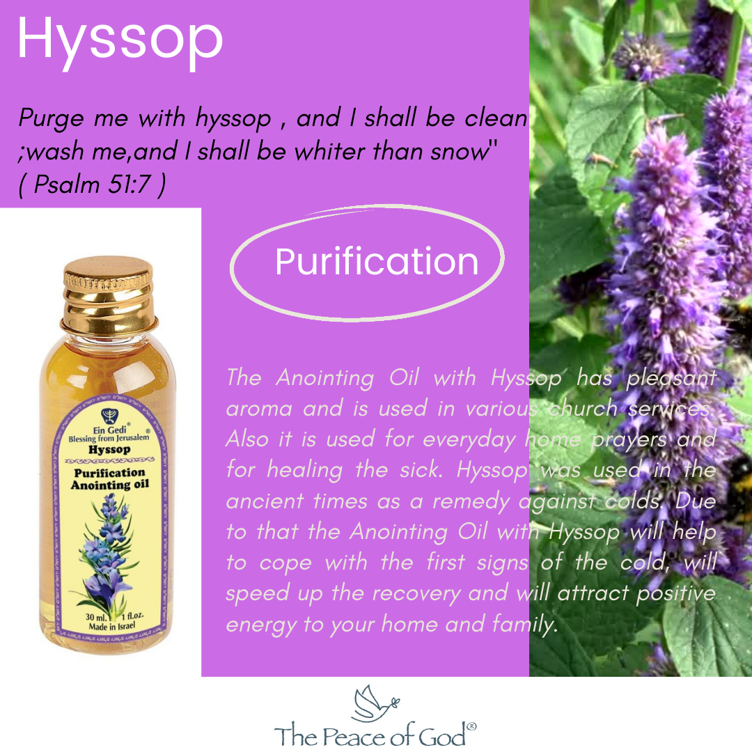 Hyssop "Purification" Anointing Oil  - 30 ml 1 fl.oz.