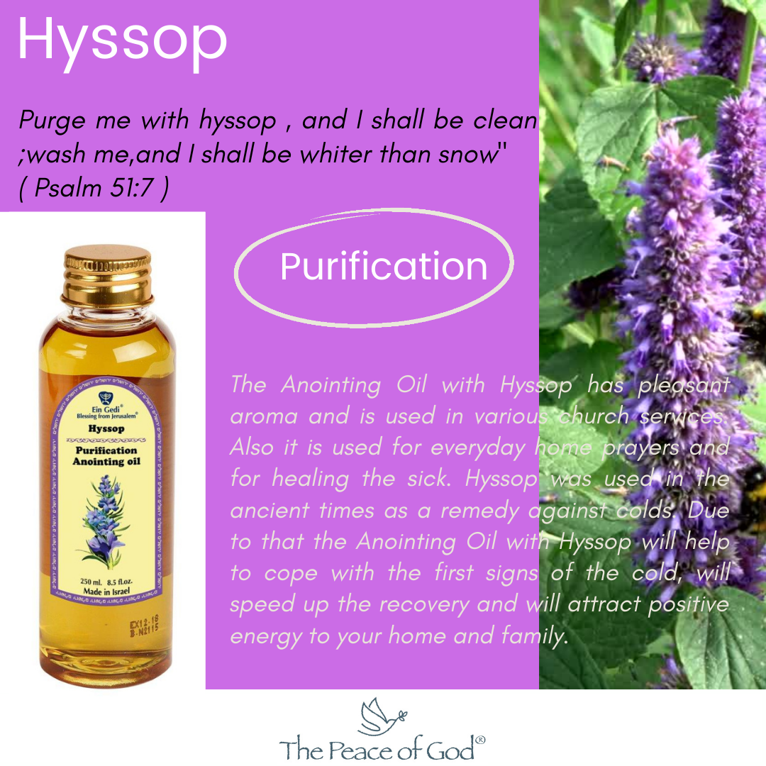 Anointing Oil - Hyssop "Purification" 250 ml - The Peace Of God®