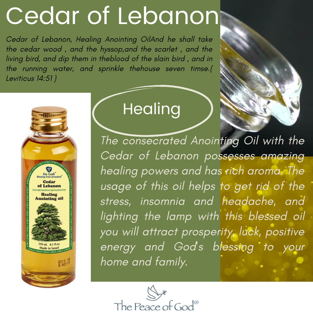 Cedar of Lebanon Anointing Oil Healing The Peace Of God