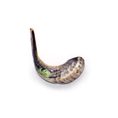 Natural Ram's Horn Shofar 40-44cm - The Peace Of God®