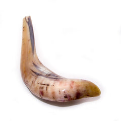Natural Ram's Horn Shofar 30-34cm - The Peace Of God®