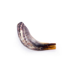 Natural Ram's Horn Shofar 25-29cm - The Peace Of God®