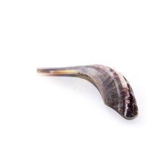Natural Ram's Horn Shofar 25-29cm - The Peace Of God®