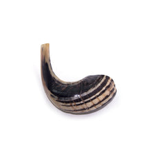 Natural Ram's Horn Shofar 15-24cm - The Peace Of God®