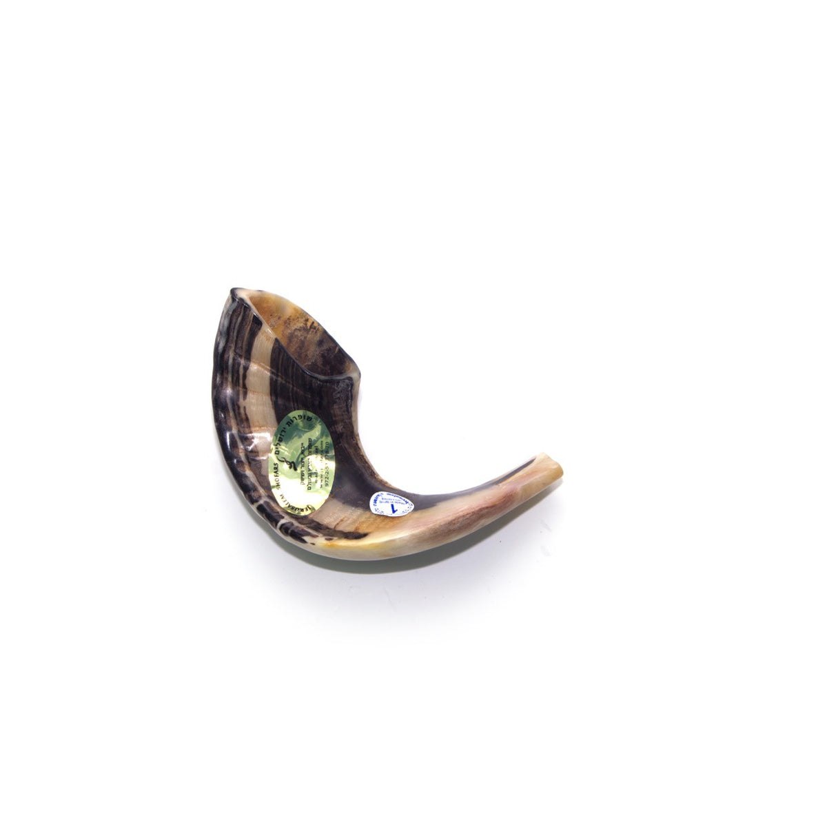 Natural Ram's Horn Shofar 15-24cm - The Peace Of God®