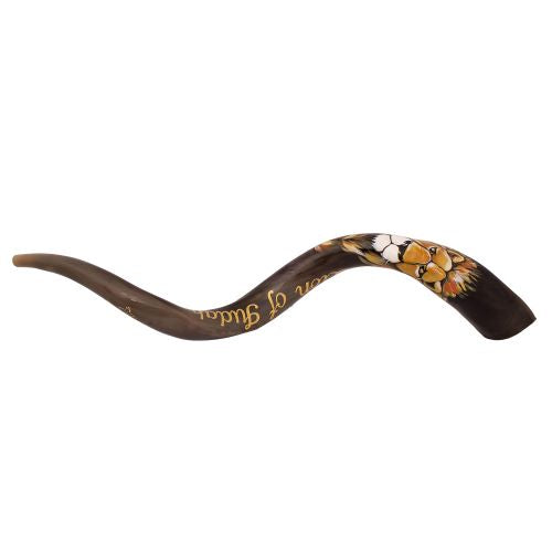 Painted Kudu Shofar Jerusalem"lion of Judah" From Israel - The Peace Of God®