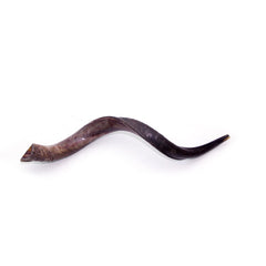 Natural Antelope Kudu Horn Shofar 90-99cm - The Peace Of God®