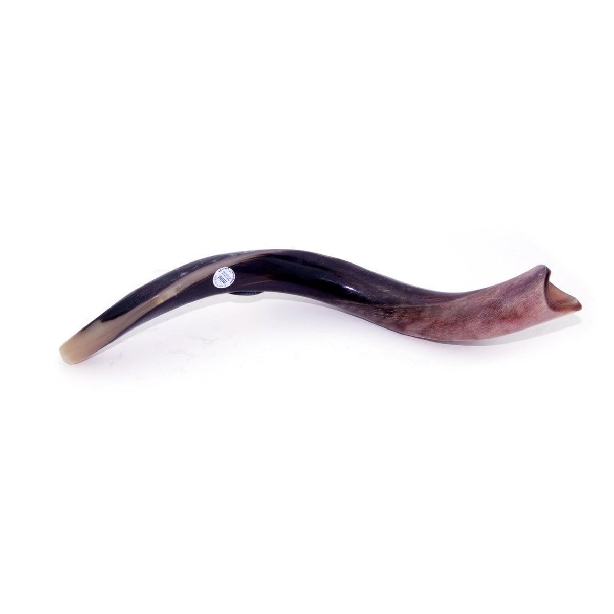 Natural Antelope Kudu Horn Shofar 40-49cm - The Peace Of God®