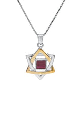 Nano Bible Sim Silver and 9K Gold Pendant - Star of David - The Peace Of God®